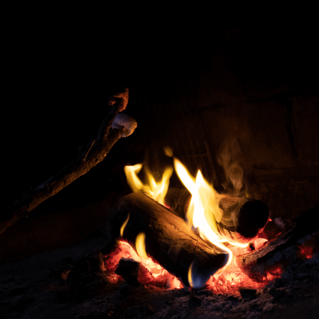 Toasting Marshmallows Over A Open Fire Pit